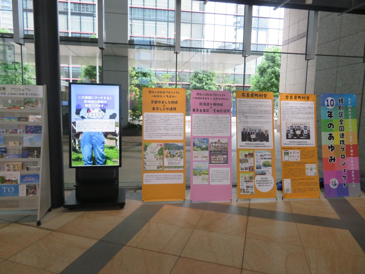 展示の様子３