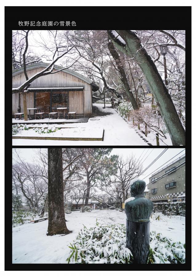 牧野記念庭園の雪景色