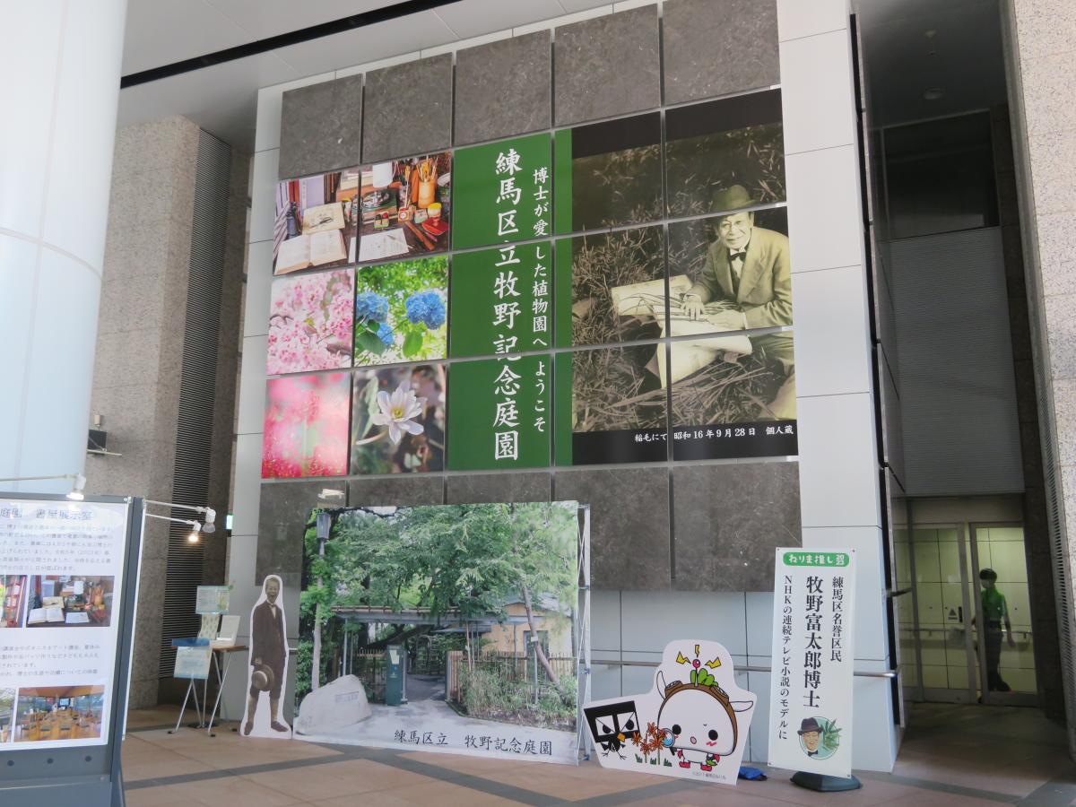 展示会場壁面